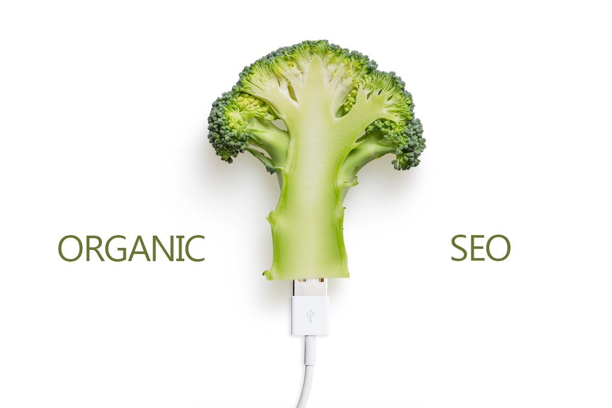 organic-seo-help